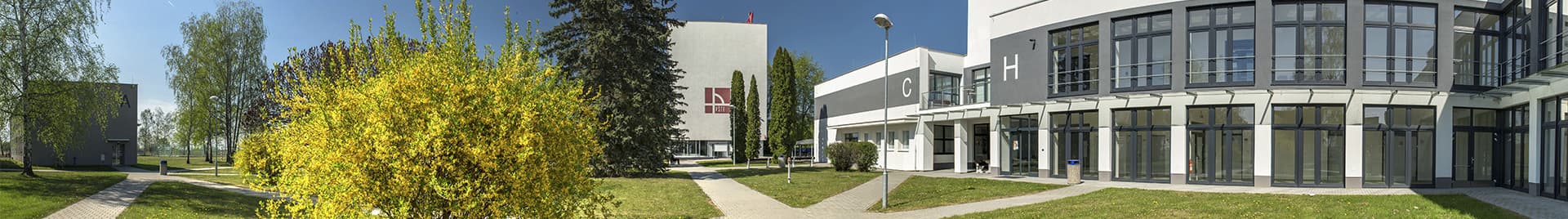 foto banner