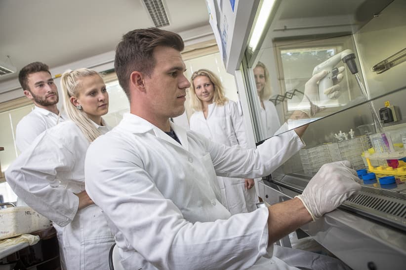 FVZ-laboratoře